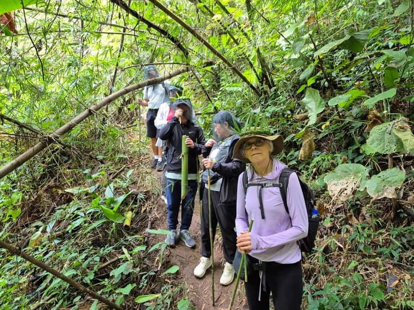 Chiang Rai: The Adventure of Trekking & Bamboo Cooking - Is $57 good value?