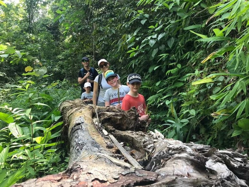 Chiang Rai Trek: 4 Hilltribes Villages & Waterfall Only Walk - What the $82 price gets you