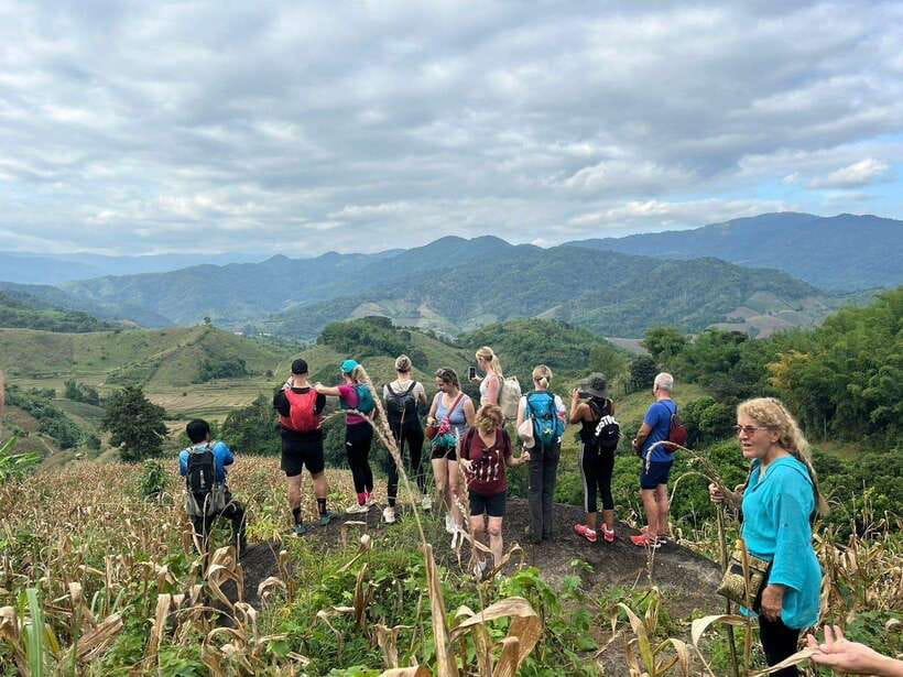Chiangrai: Group Trekking with Bamboo Cooking - Tea plantations and the first stretch of trail