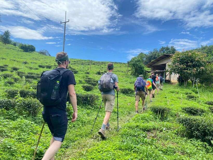 Chiangrai: Group Trekking with Bamboo Cooking - Starting with Lisu and Chinese village life
