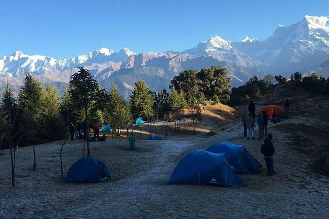 Chopta Trek - Day 2: Forest trail to Deoria Tal