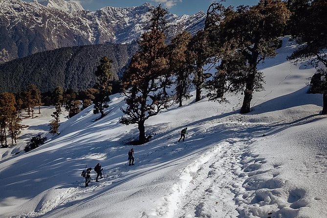 Chopta Trek - Day 1: Devprayag and the village of Sari