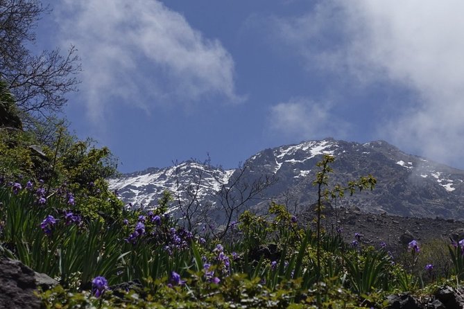 Climb Mount Toubkal - trekking - 3 days - Guides, pacing, and private-group advantages