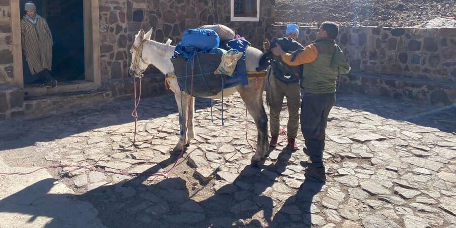 Climb Toubkal: 2-Day Atlas Trek with Local Berber Guide - Why the local Berber guide matters