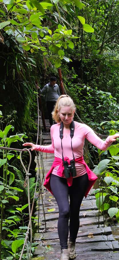 Cocora: trek to the hummingbirds sanctuary - Key points at a glance