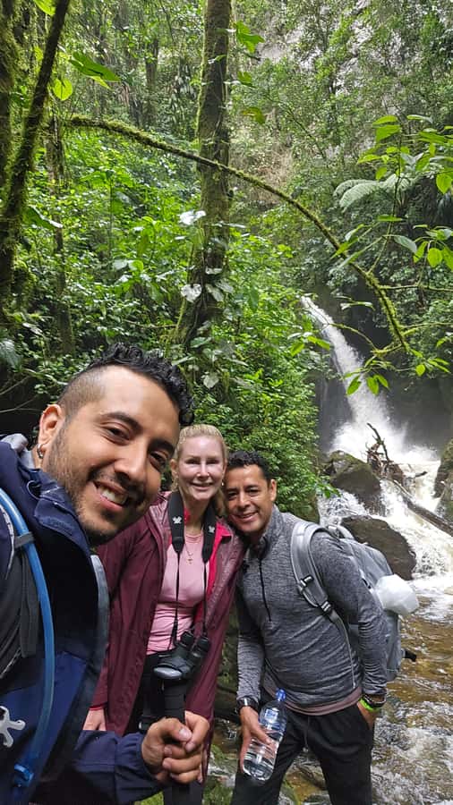 Cocora: trek to the hummingbirds sanctuary - Starting in Salento and reaching Cocora Valley