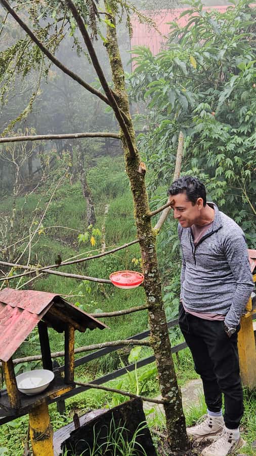 Cocora: trek to the hummingbirds sanctuary - Six bridges above the Quindío River