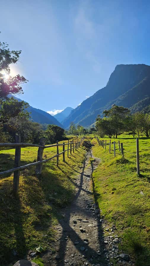 Cocora: trek to the hummingbirds sanctuary - What the $125 price covers