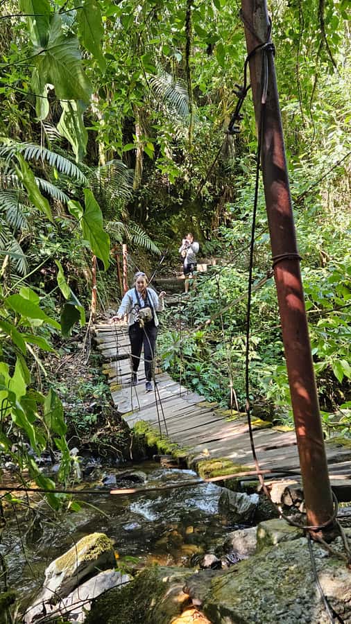 Cocora: trek to the hummingbirds sanctuary - FAQ