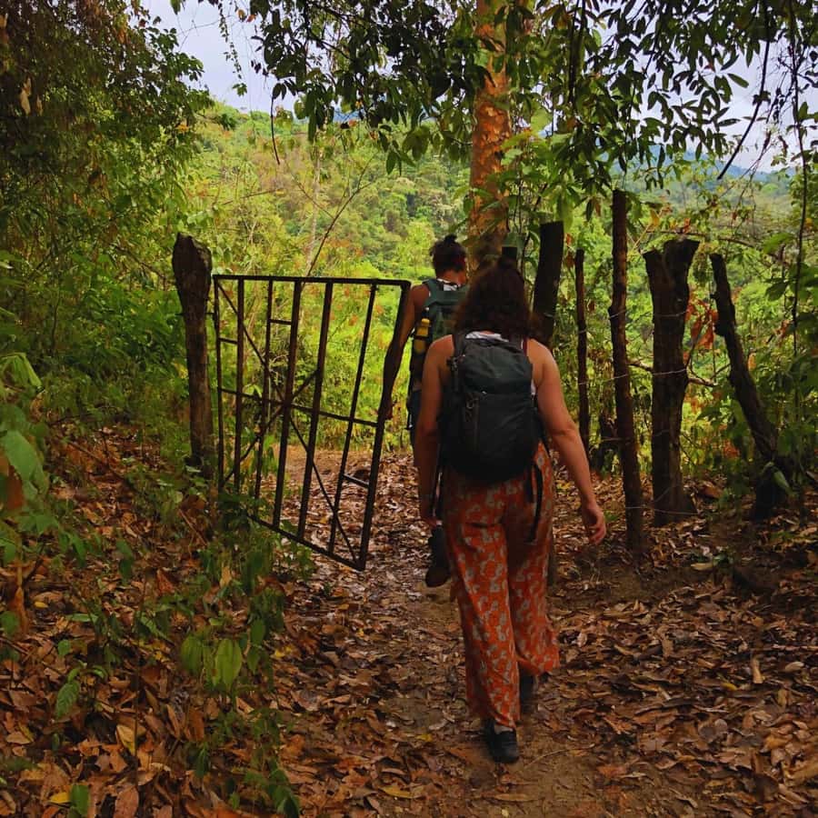 Coffee, Cocoa and Trekking Tour in Minca: Nature, Crops and Production - The Puente de Minca stop adds water and village context