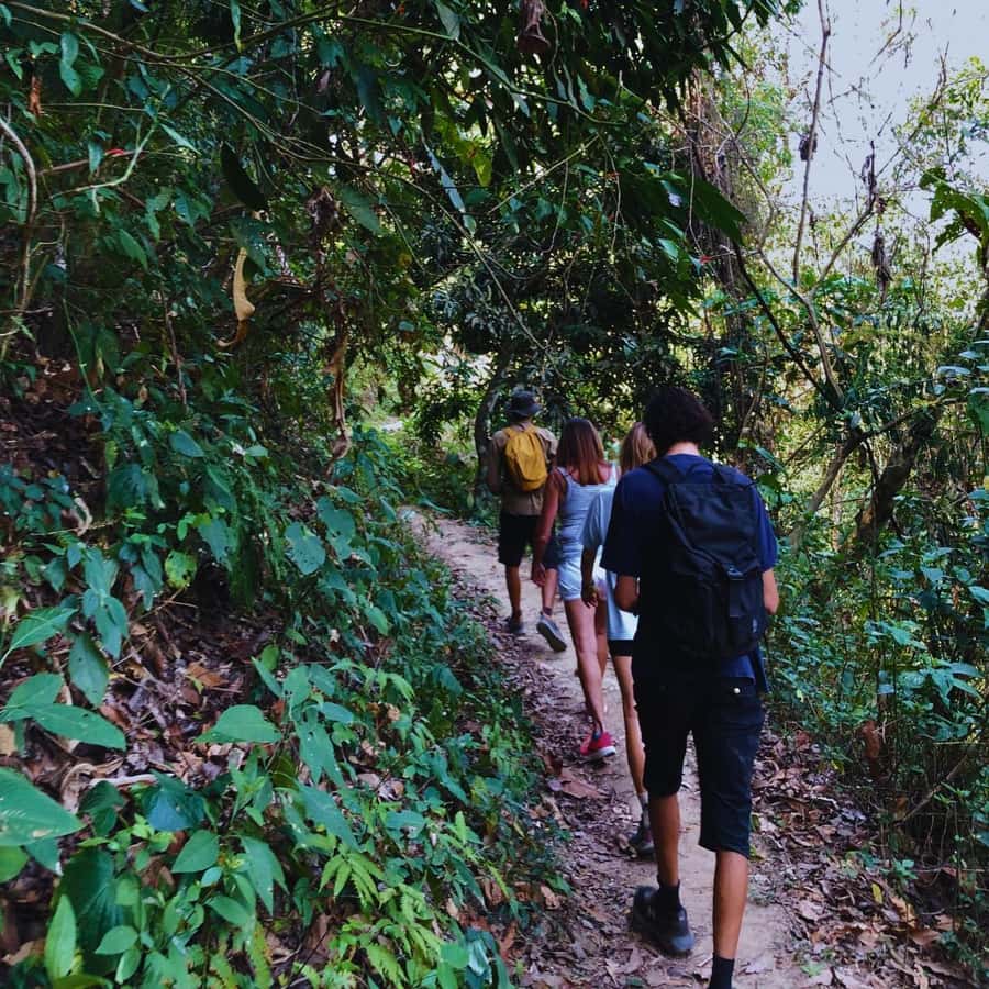 Coffee, Cocoa and Trekking Tour in Minca: Nature, Crops and Production - Why the farm visit feels worthwhile
