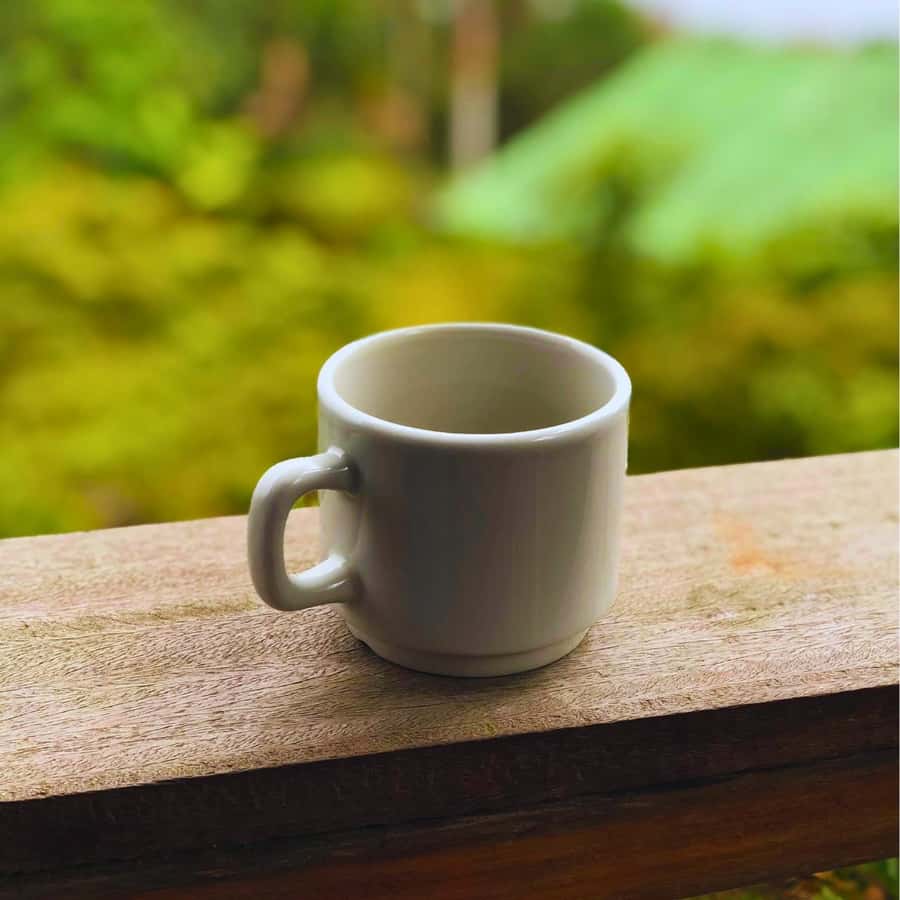 Coffee, Cocoa and Trekking Tour in Minca: Nature, Crops and Production - What to pack for four and a half hours