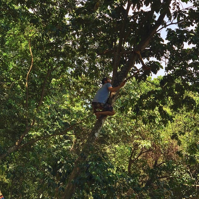 Coffee, Cocoa and Trekking Tour in Minca: Nature, Crops and Production - Is $41 a fair price?