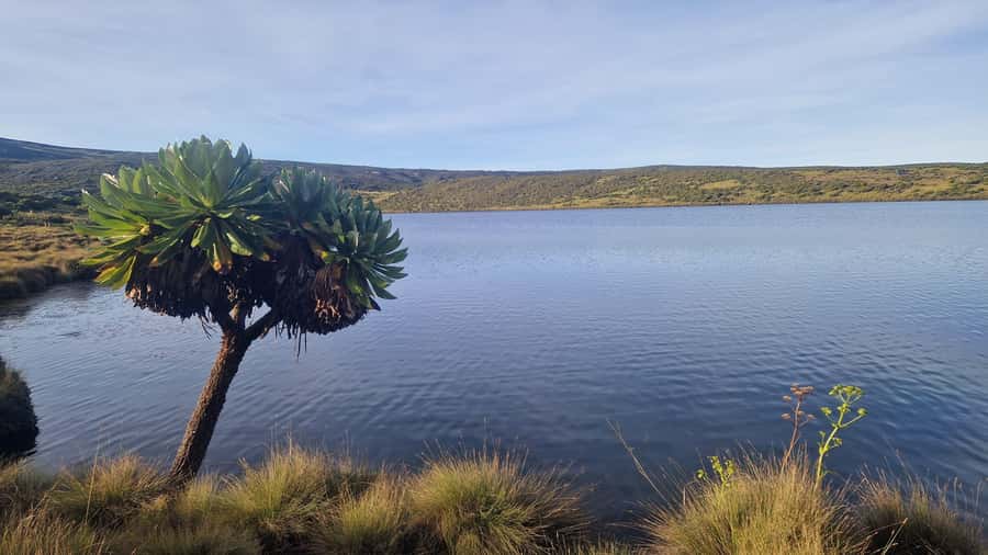 Conquer Mount Kenya: Mt Kenya Trekking via Chogoria 4-5 days - What the guides, cook, and porters add