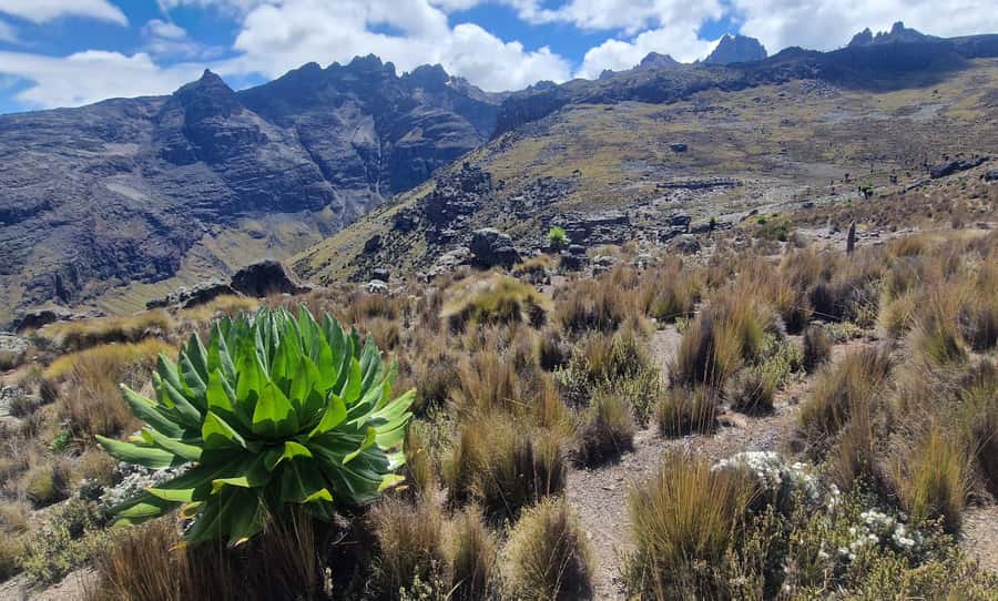 Conquer Mount Kenya: Mt Kenya Trekking via Chogoria 4-5 days - Who should choose the four-day or five-day option?