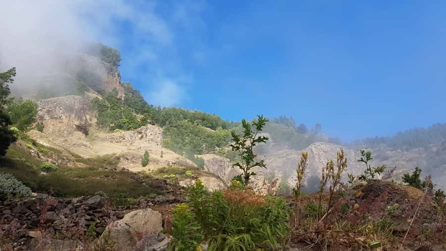 Cova–Paúl Valley Trek: Santo Antão Day Trip by Ferry - Is this Santo Antão day trip right for you?