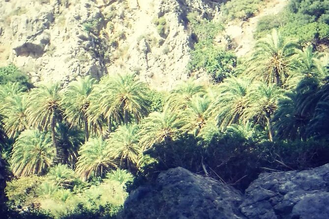 Crete: River Trekking at Preveli Beach - Walking the riverbed toward Preveli Palm Forest