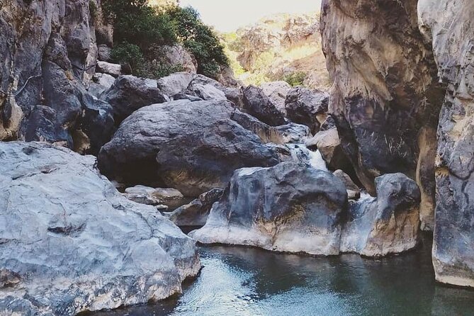 Crete: River Trekking at Preveli Beach - What the $118.29 price includes