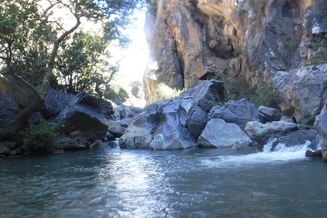 Crete: River Trekking at Preveli Beach - Meeting point, timing, and group size