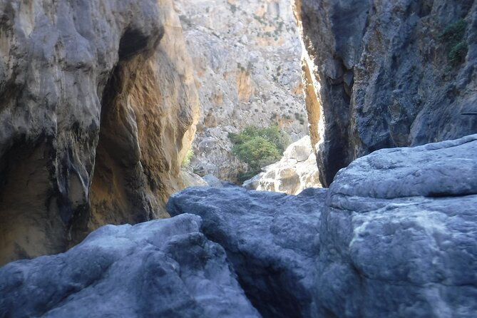 Crete: River Trekking at Preveli Beach - Who will enjoy this outing most?