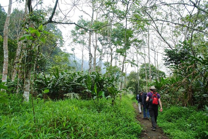 Cuc Phuong National Park Private Day Tour: Trekking & Primates - The Endangered Primate Rescue Centre Comes First