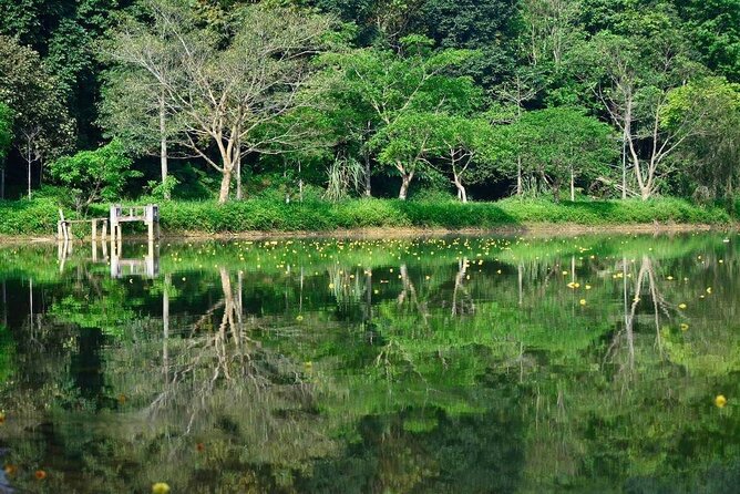 Cuc Phuong National Park Private Day Tour: Trekking & Primates - Lunch at a Jungle Stilt House