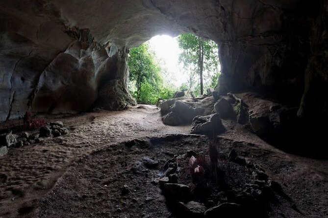 Cuc Phuong National Park Private Day Tour: Trekking & Primates - Timing, Pickup, and What to Pack