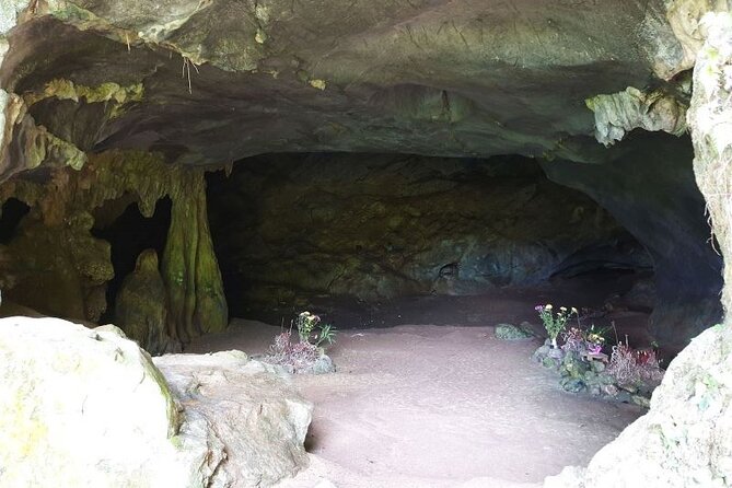Cuc Phuong National Park Private Day Tour: Trekking & Primates - Động Người Xưa and Early Human History