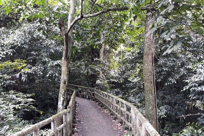 Cuc Phuong National Park Trekking: Private Day Tour From Hanoi - Why Cuc Phuong makes sense from Hanoi