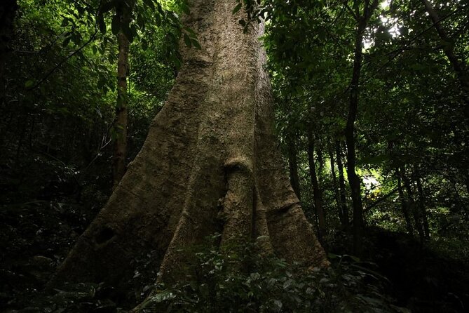 Cuc Phuong National Park Trekking: Private Day Tour From Hanoi - What is included, and what is not