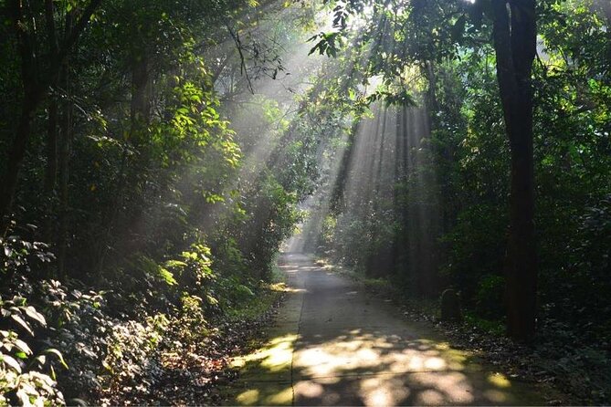 Cuc Phuong National Park Trekking: Private Day Tour From Hanoi - Who will enjoy this day most