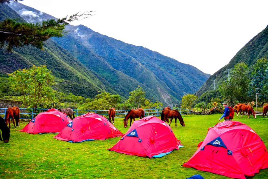 Cusco: 5-Day Salkantay Ultimate Trek to Machu Picchu - Should you book it?