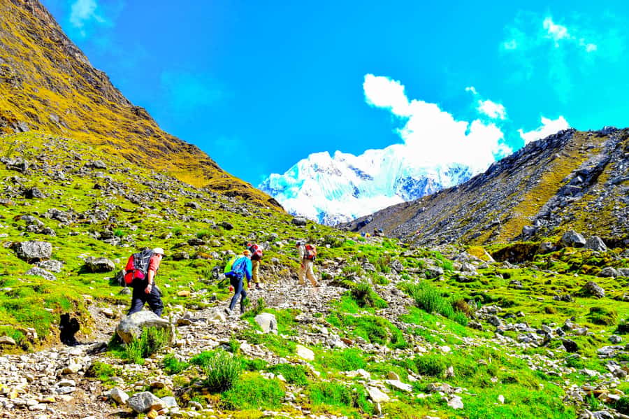 Cusco: 5-Day Salkantay Ultimate Trek to Machu Picchu - Day 2: Salkantay Pass at 4,630 meters
