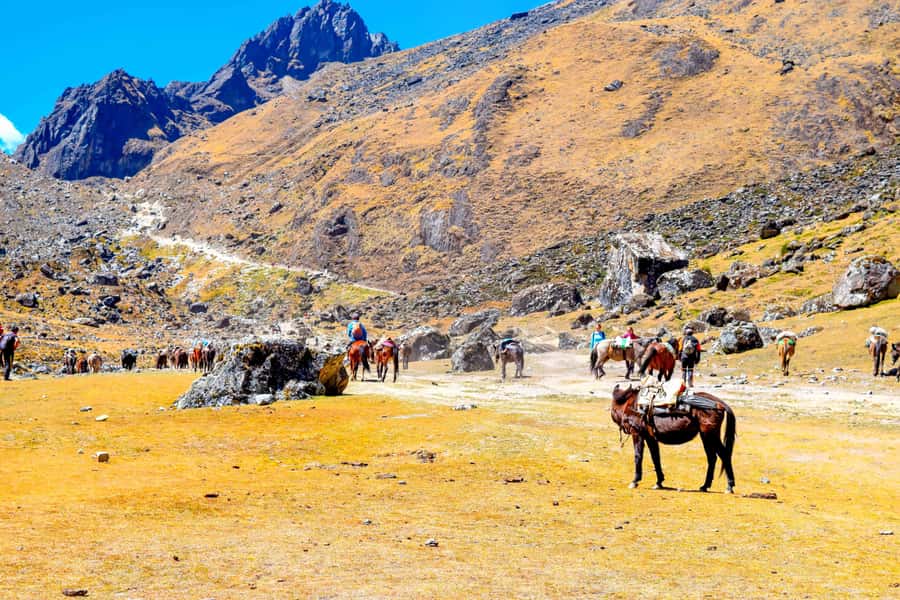Cusco: 5-Day Salkantay Ultimate Trek to Machu Picchu - Day 5: Guided Machu Picchu and the return to Cusco