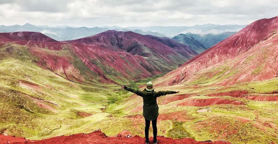 Cusco: Full-Day Rainbow Mountain & Red Valley Trekking Tour - Wildlife and the high Andes around you