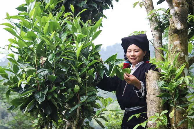Da Bac Discovery trek and tour 2D1N - Day one: Hanoi to 300-year-old Sung Village
