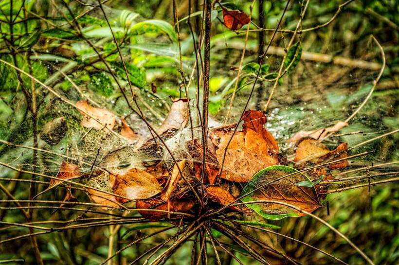 Da Nang: Bach Ma National Park Trek And Beach Retreat - Walking 1.5 kilometers to Do Quyen Waterfall