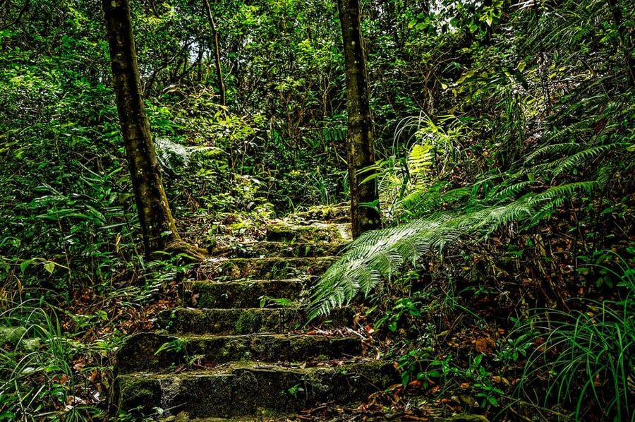 Da Nang: Bach Ma National Park Trek And Beach Retreat - How difficult is the walk?