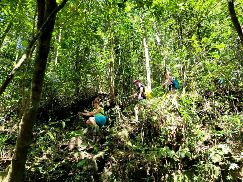 Da Nang/Hoi An to Hue via Bach Ma National Park Trekking - Vong Hai Dai at 1,448 meters