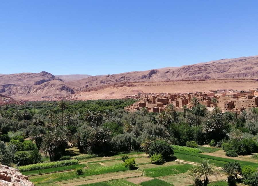 Dades Gorges: Monkey Toes Rock Formation Guided Trek - Who will enjoy this trek most
