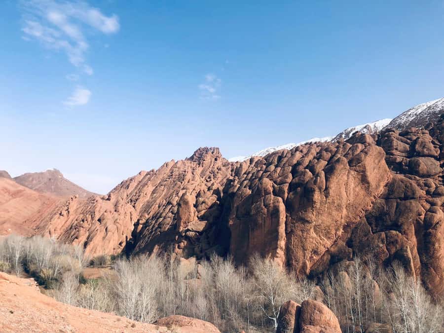 Dades Gorges: Monkey Toes Rock Formation Guided Trek - Practical advice for a better walk