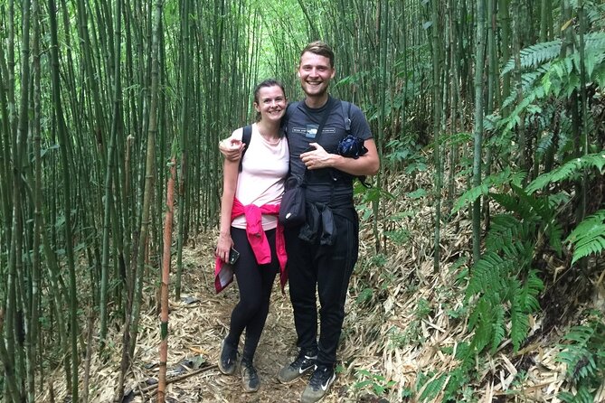 Daily Tour: Sapa Trekking in Muong Hoa valley, Bamboo forest - The bamboo forest and route toward Giang Ta Chai
