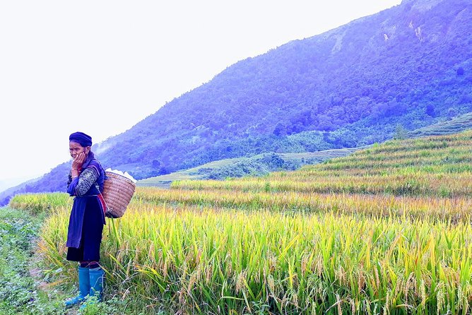 Daily Tour: Sapa Trekking in Muong Hoa valley, Bamboo forest - Walking from Lao Chai into the valley