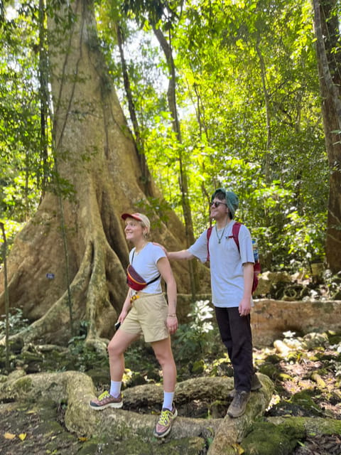 Dalat Trekking to Langbiang mt - Through pine forest and jungle