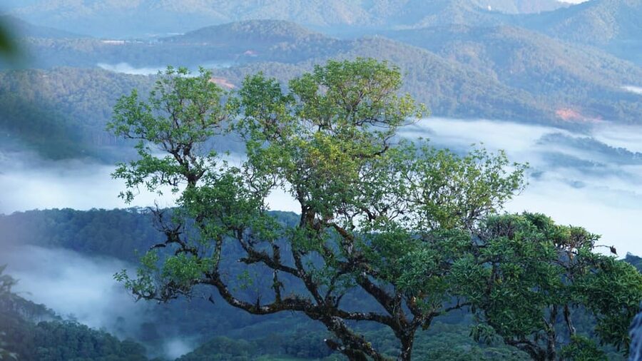 Dalat Trekking to Langbiang mt - The uphill sections and trail conditions