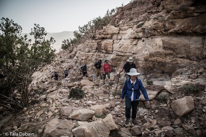 Dana to Petra Trek + Wadi Rum & the Dead Sea - 9 Days - Why the Dana to Petra route is the heart of the trip