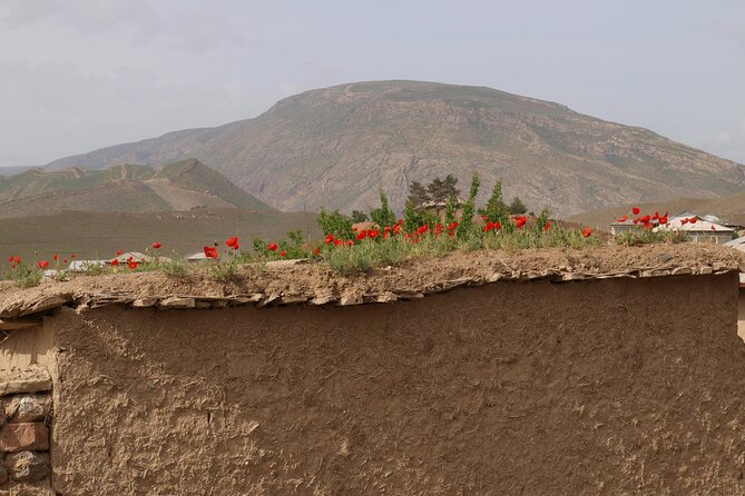 Darband-Boyson Uzbekistan Mountain Trekking 3-Day Private Tour From Samarkand - Is $415 a fair price?