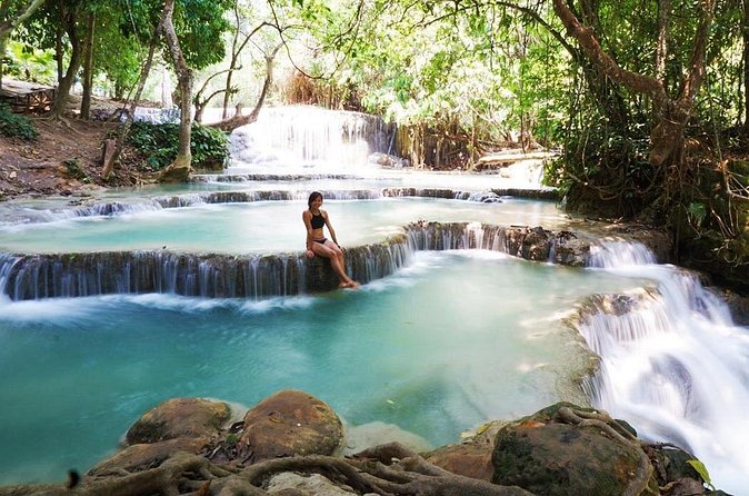 Day Trek to Kuangsi Waterfall and Bear Sanctuary - Luang Prabang full day tour - The Bear Rescue Center adds a worthwhile second focus