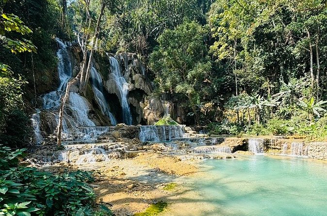 Day Trek to Kuangsi Waterfall and Bear Sanctuary - Luang Prabang full day tour - Cancellation and booking details to weigh carefully