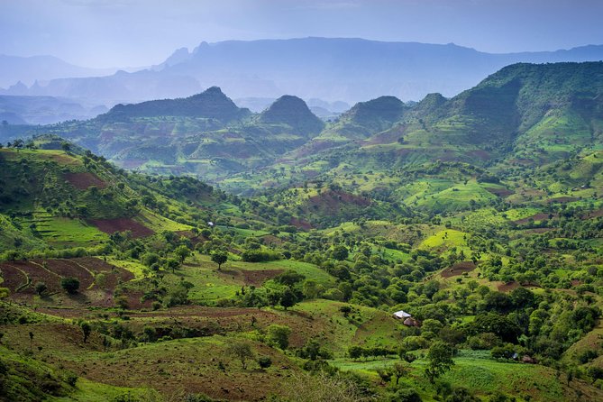 Day trek to Simien Mountain - Why this Simien day trek works